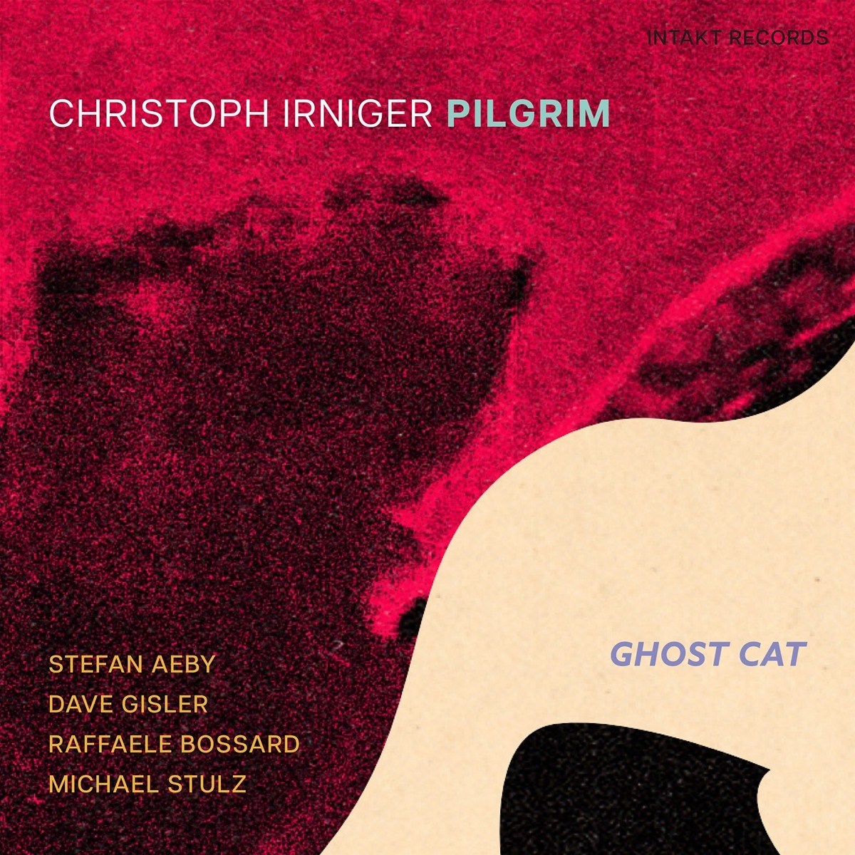 Afbeelding van Christoph Irniger Pilgrim - Ghost Cat
