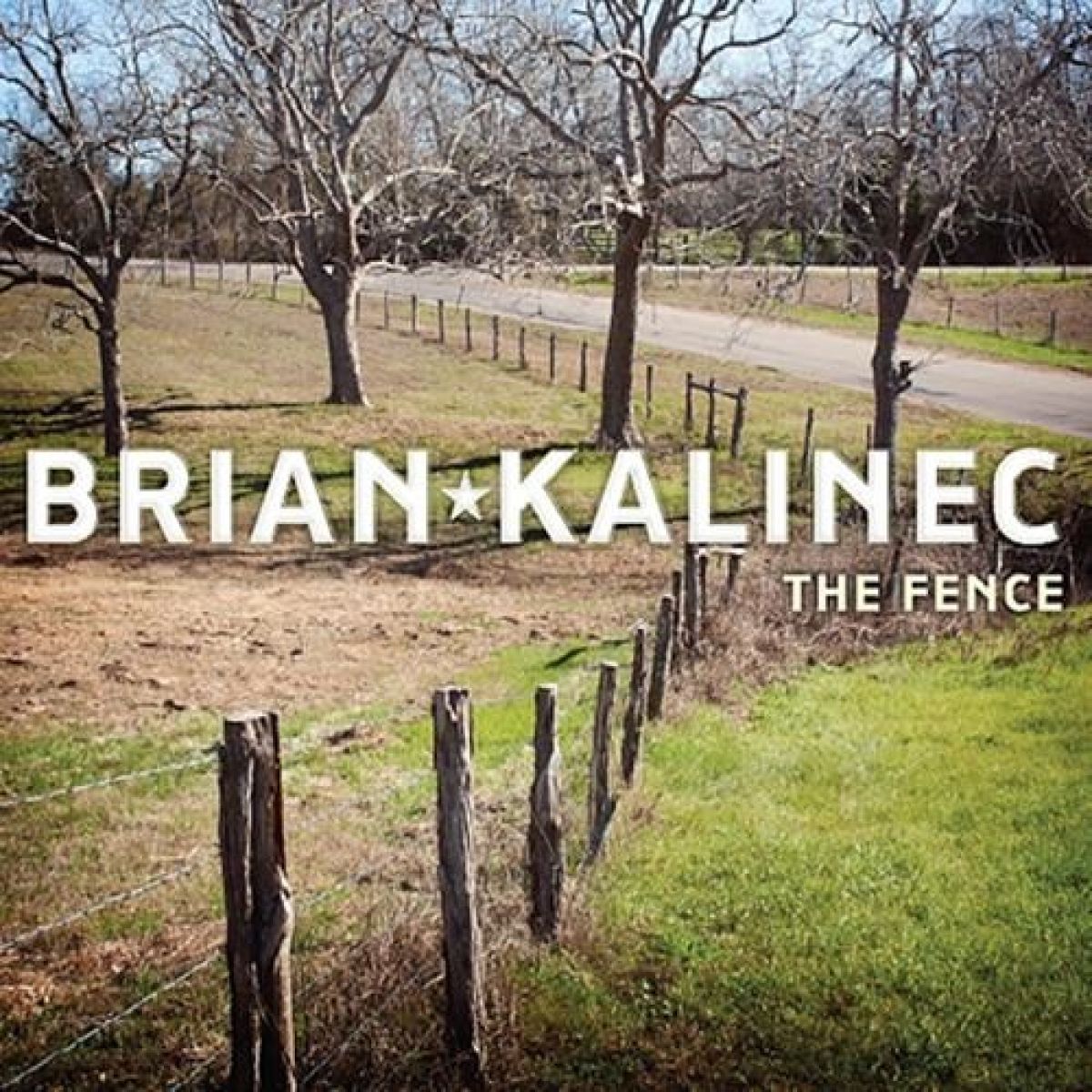 Afbeelding van Brian Kalinec - The Fence