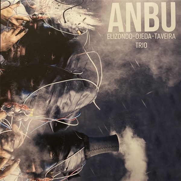 Afbeelding van Elizondo-Ojeda-Taveira Trio - Anbu