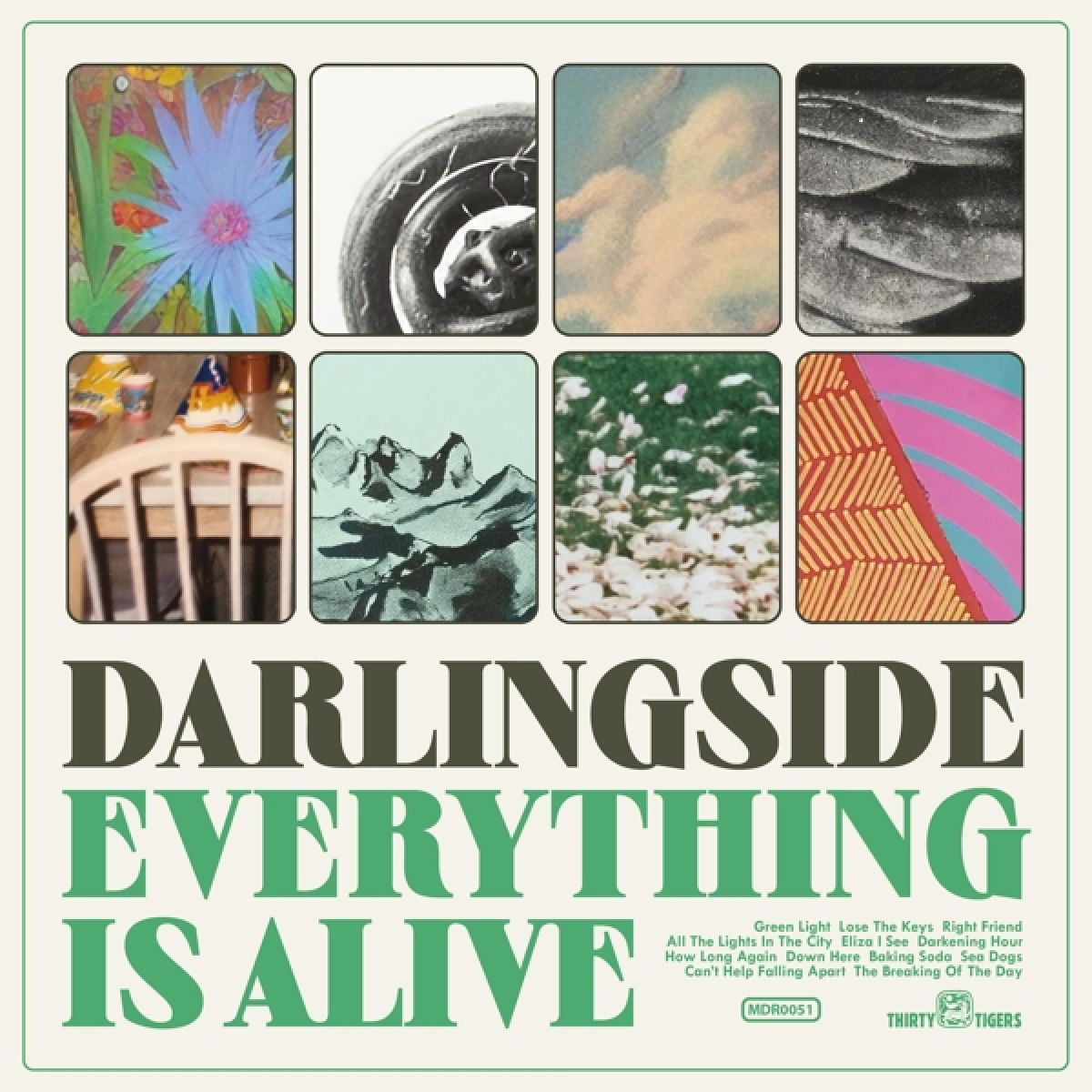 Afbeelding van Darlingside - Everything Is Alive