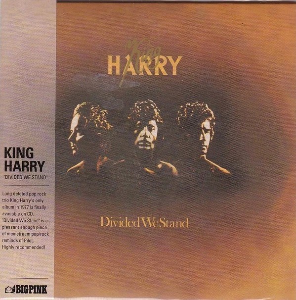Afbeelding van King Harry - Divided We Stand