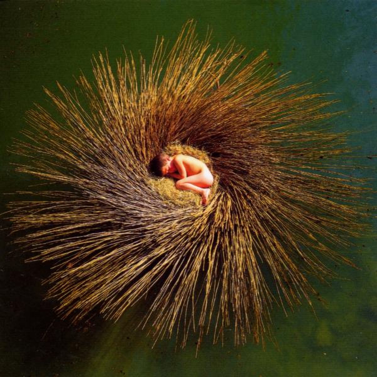 Afbeelding van Peter Gabriel - Ovo