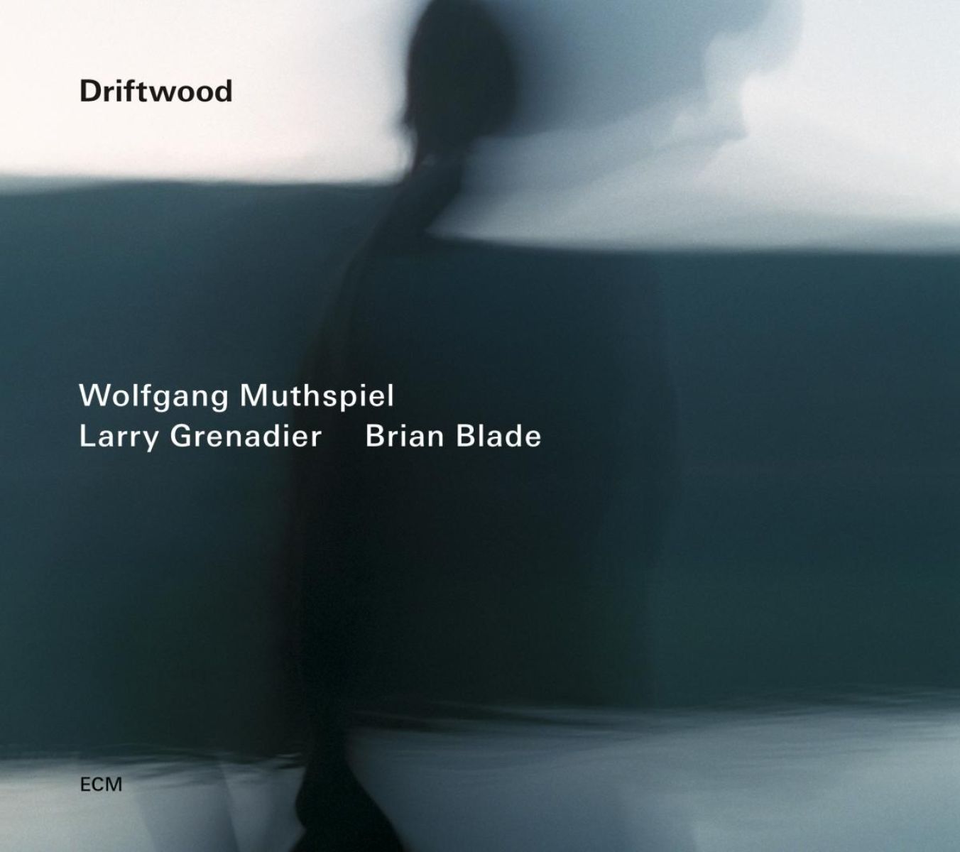 Afbeelding van Wolfgang Muthspiel, Larry Grenadier, Brian Blade - Driftwood