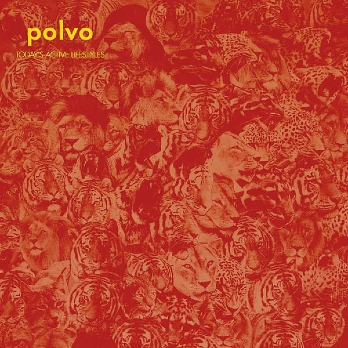 Afbeelding van Polvo - Today's Active Lifestyles