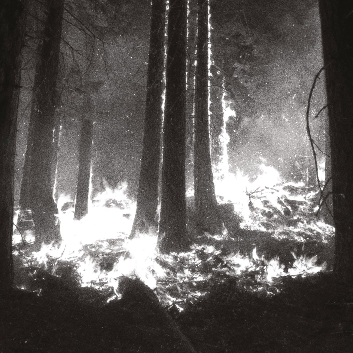 Den Sorte Død - Undergangen