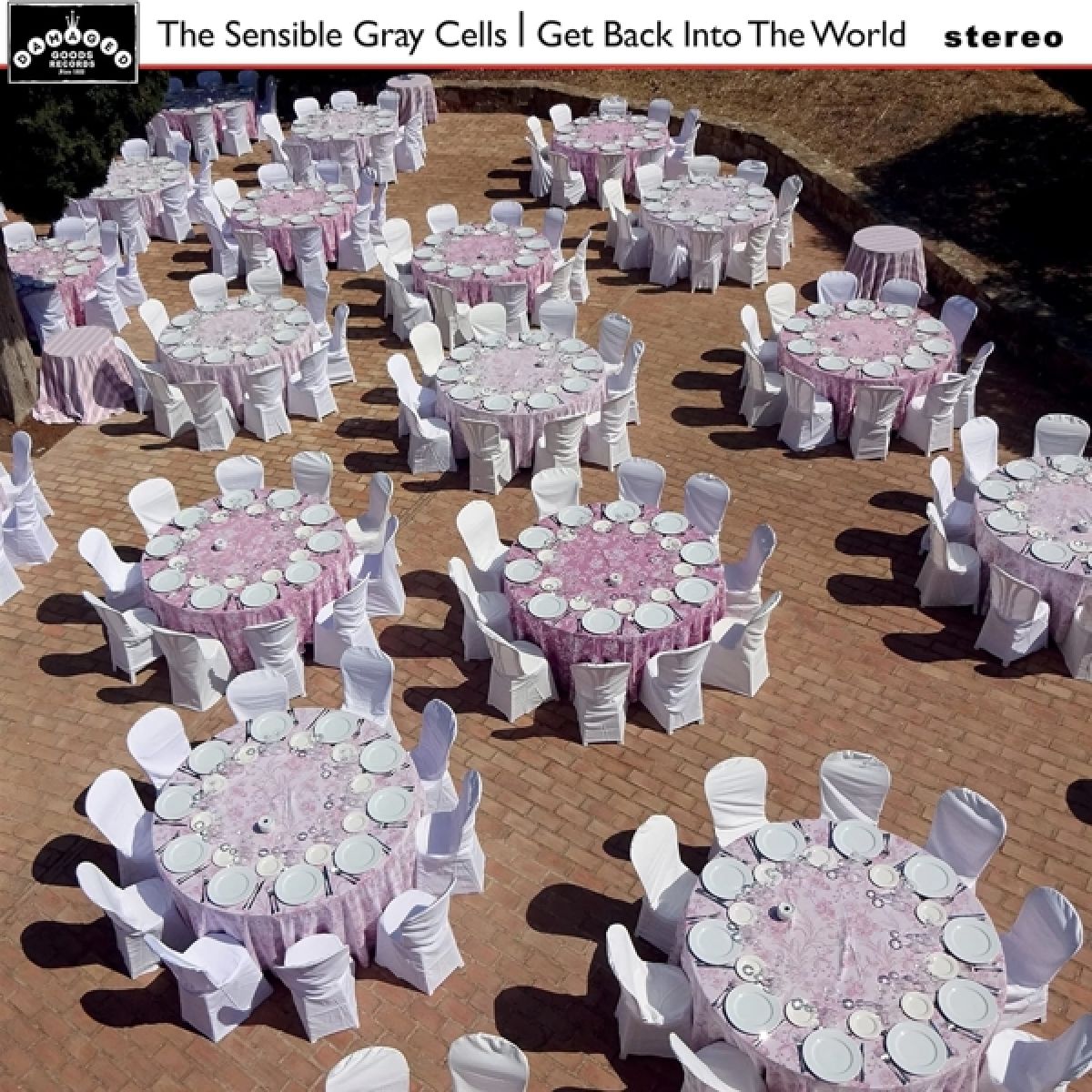 Afbeelding van Sensible Gray Cells - Get Back Into The World