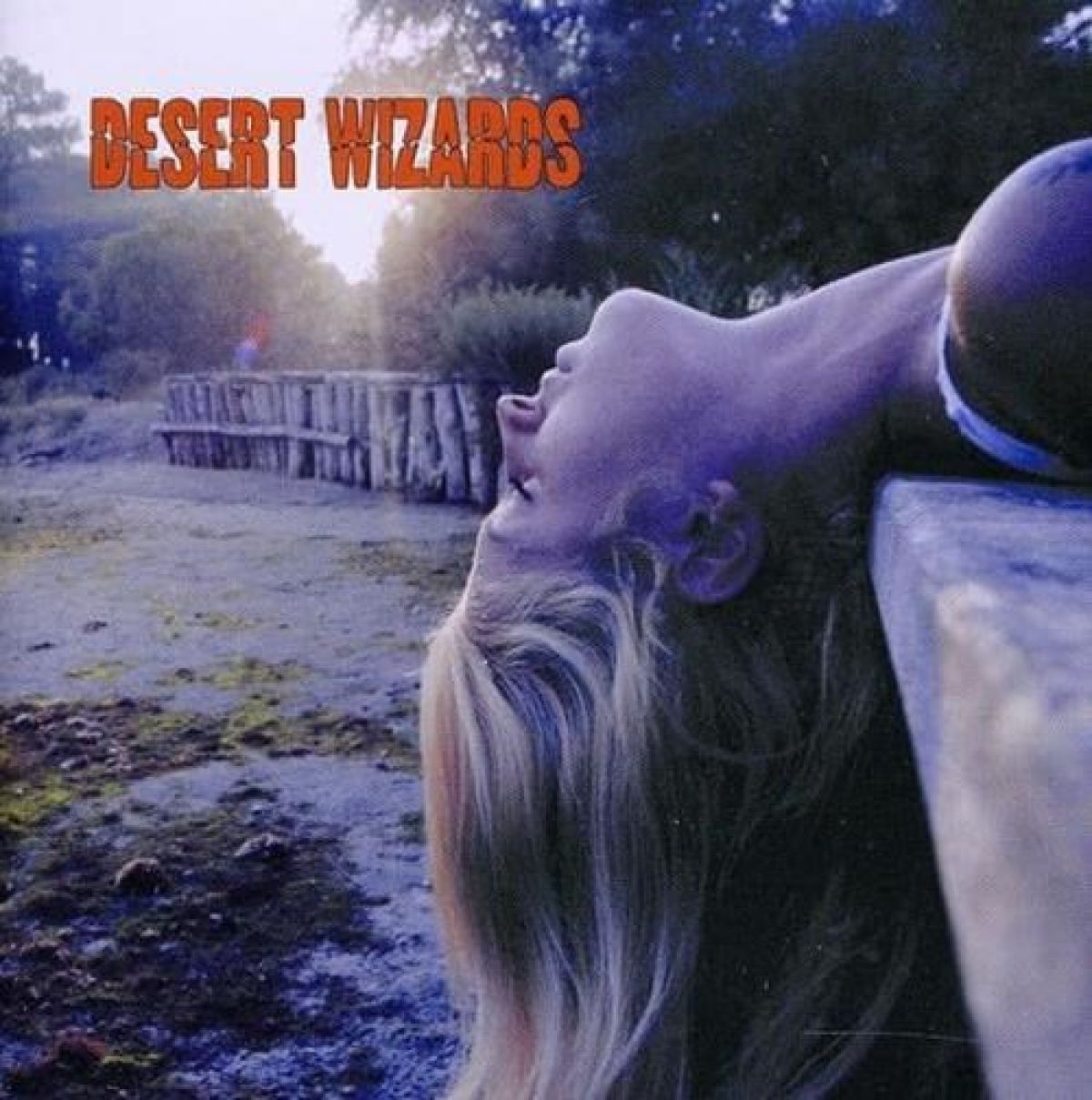 Desert Wizards - Desert Wizards