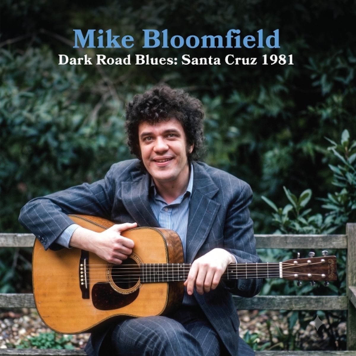 Afbeelding van Dark Road Blues: Santa Cruz 1981