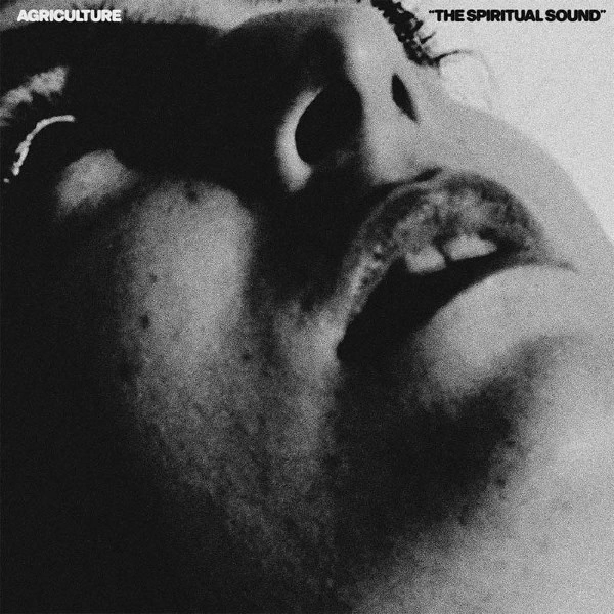 Afbeelding van Agriculture - The Spiritual Sound