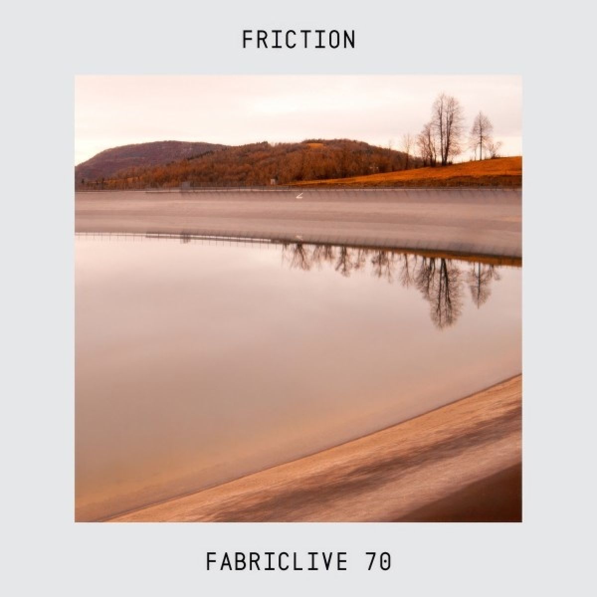 Afbeelding van Fabriclive 70: Friction