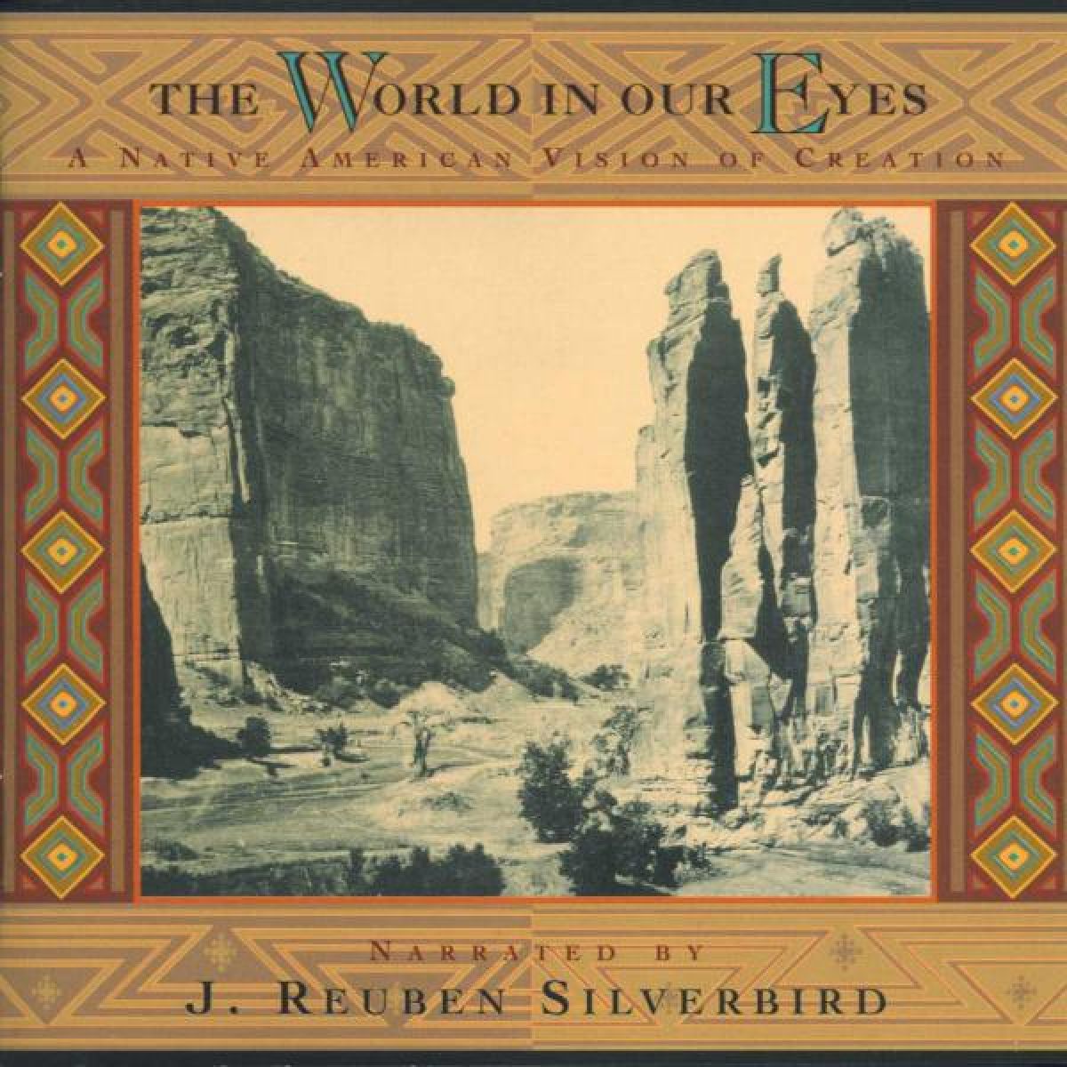 Afbeelding van J. Reuben Silverbird - The World In Our Eyes (A Native American Vision Of Creation)