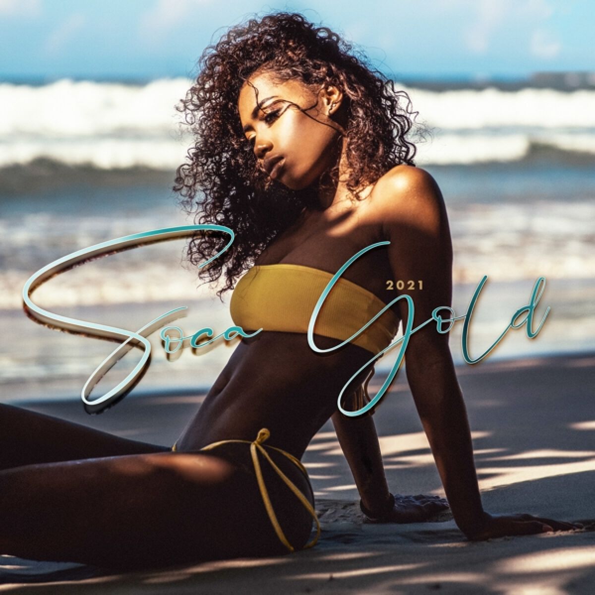Afbeelding van Various Artists - Soca Gold 2021