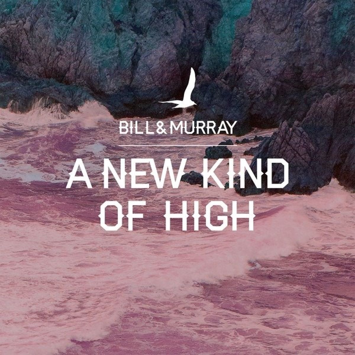 Afbeelding van Bill And Murray - A New Kind Of High
