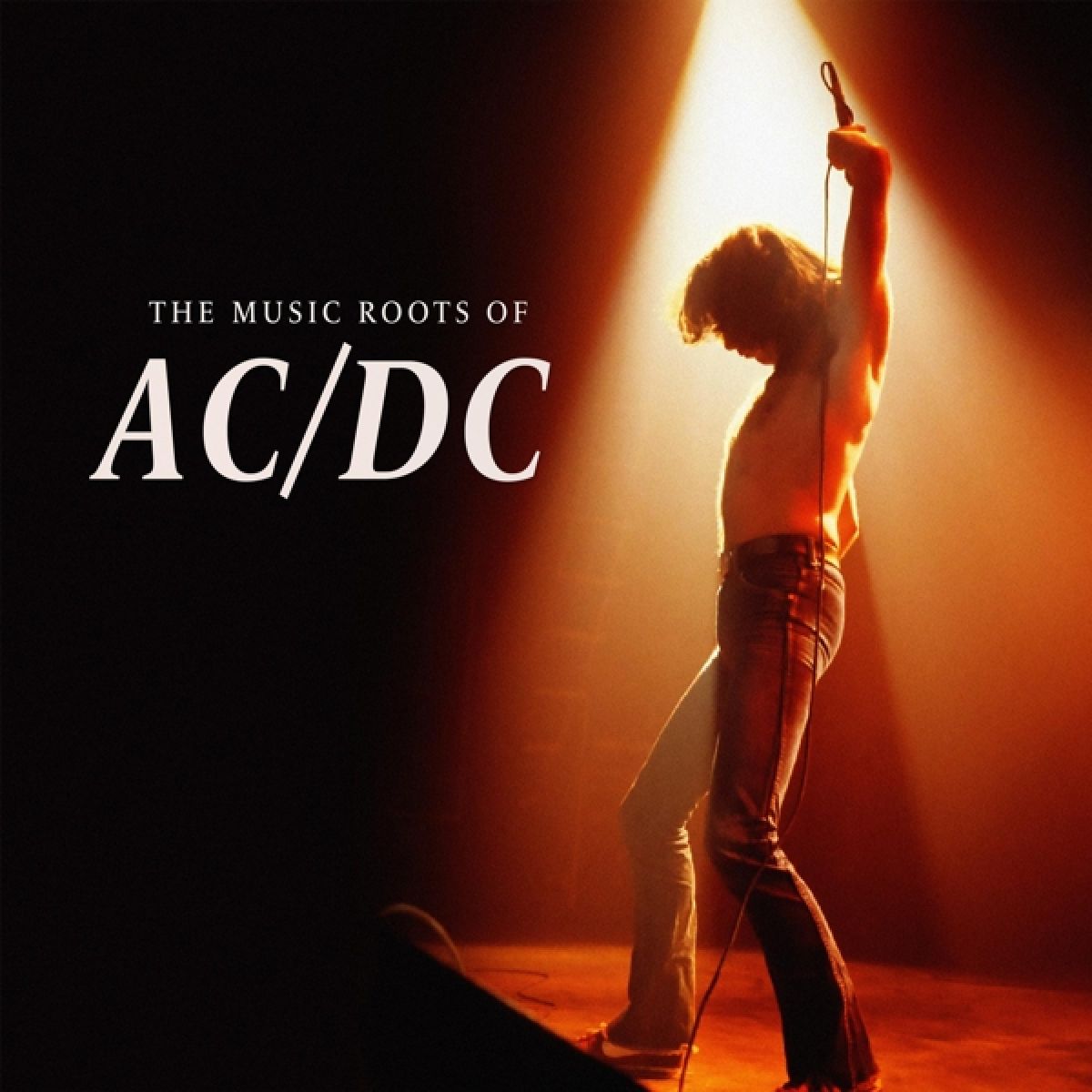 Various Artists - The Music Roots Of AC/DC