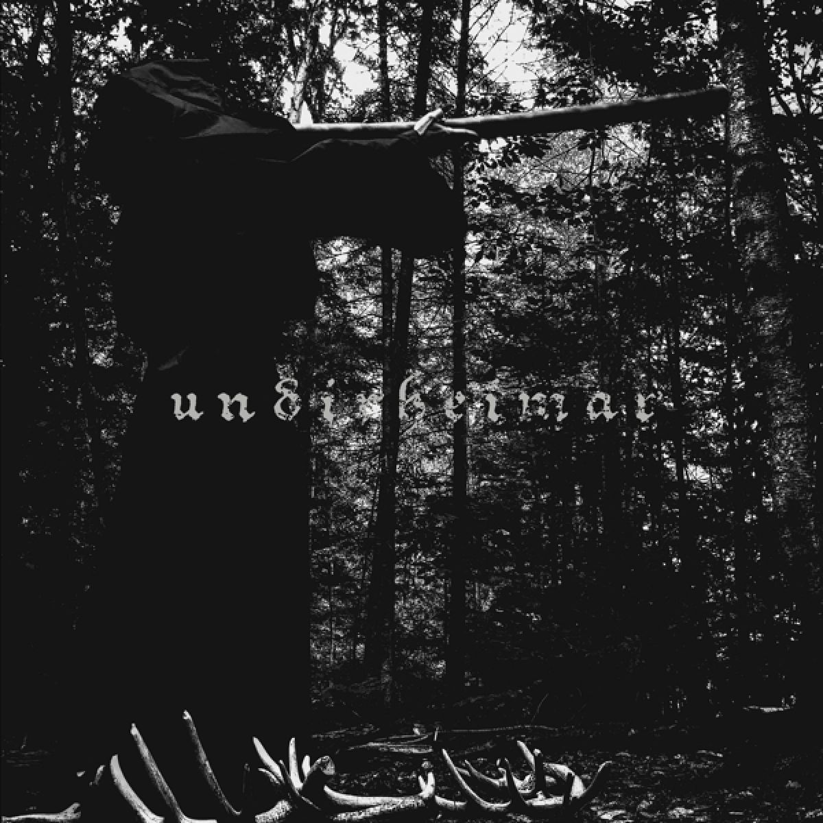 Afbeelding van Undirheimar - Vardlokkur