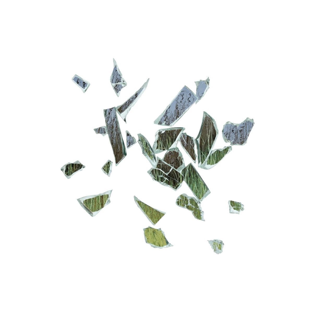 Afbeelding van These New Puritans - Field Of Reeds
