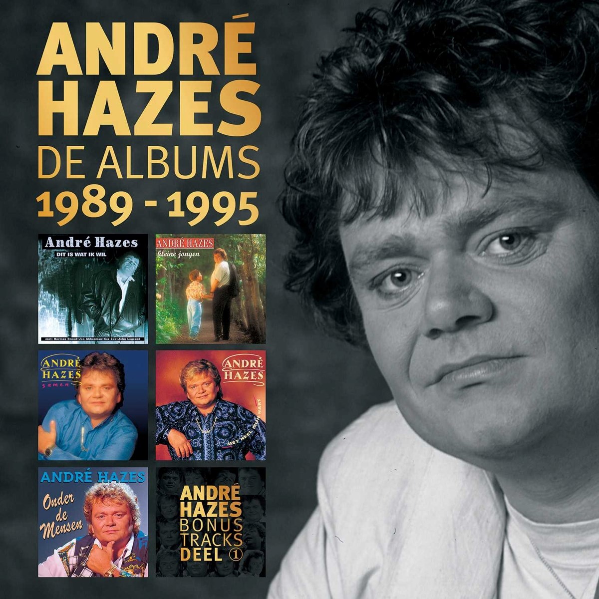 Afbeelding van André Hazes - De Albums 1989 - 1995