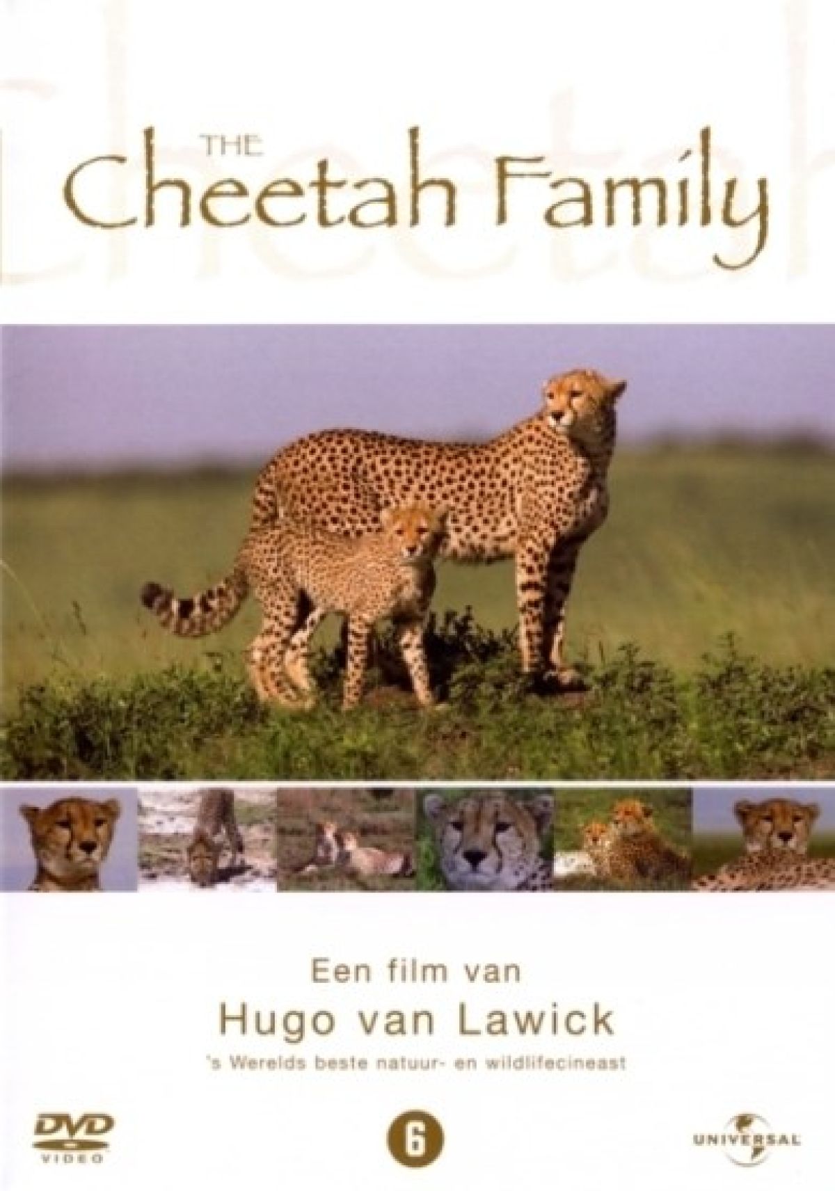 Afbeelding van Cheetah family