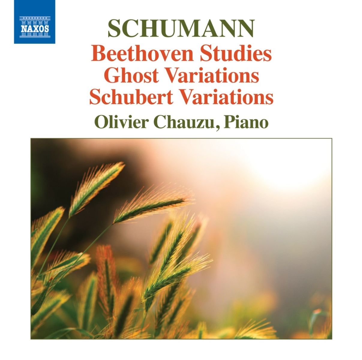 Afbeelding van Olivier Chauzu - Beethoven Studies/Ghost Variations