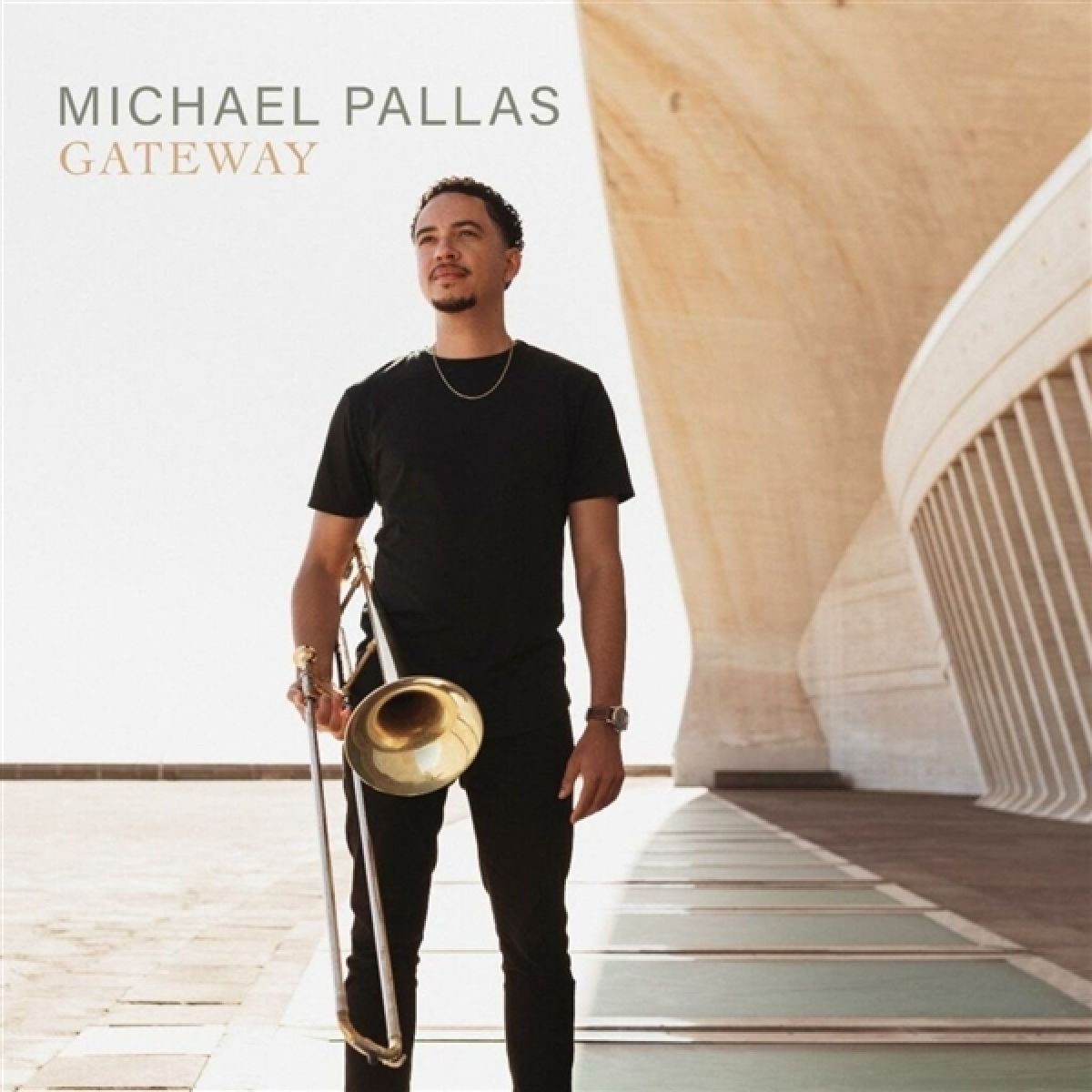 Afbeelding van Michael Pallas - Gateway