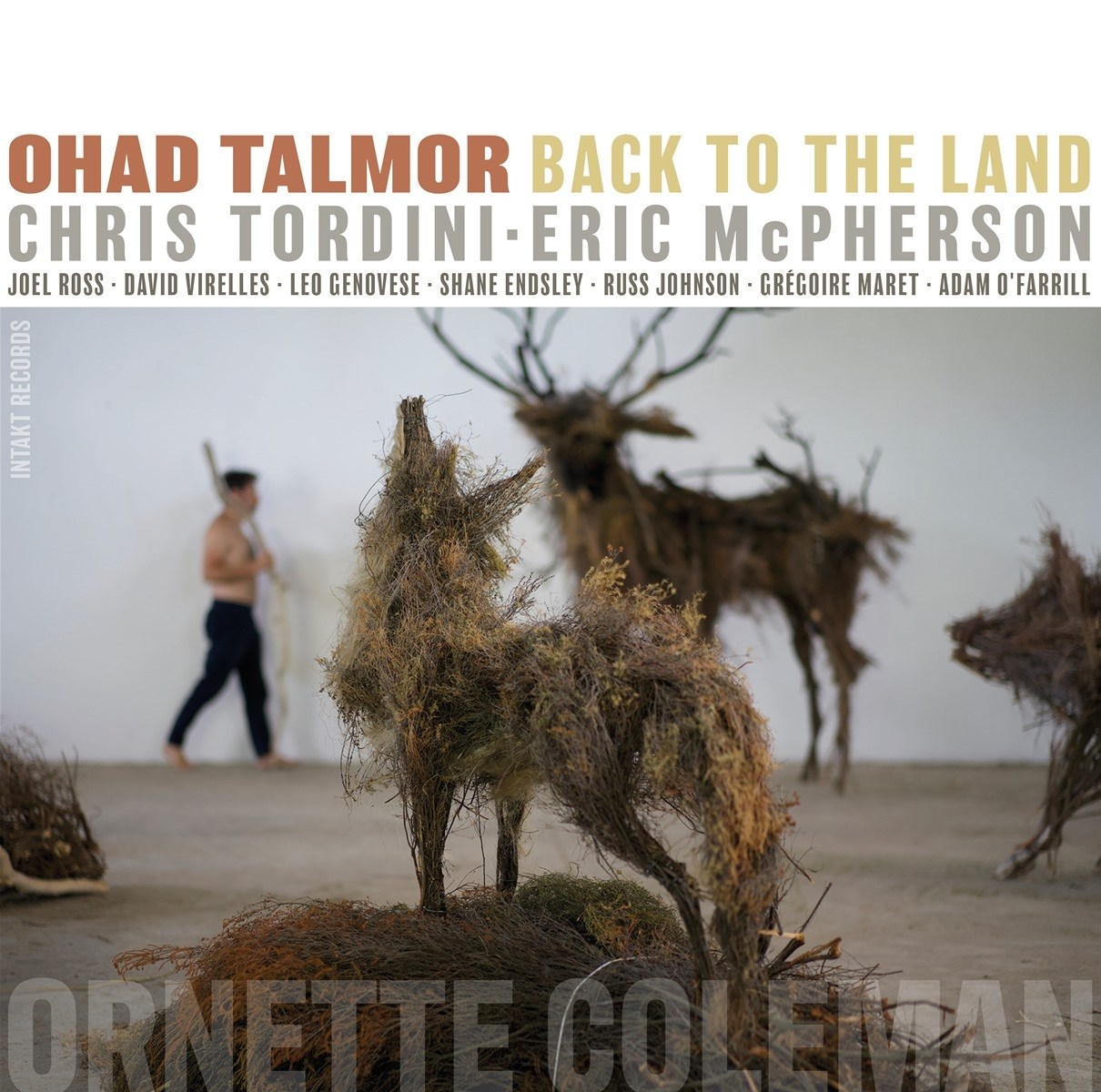 Afbeelding van David Virelles, Eric McPherson, Adam O'Farrill - Back To The Land