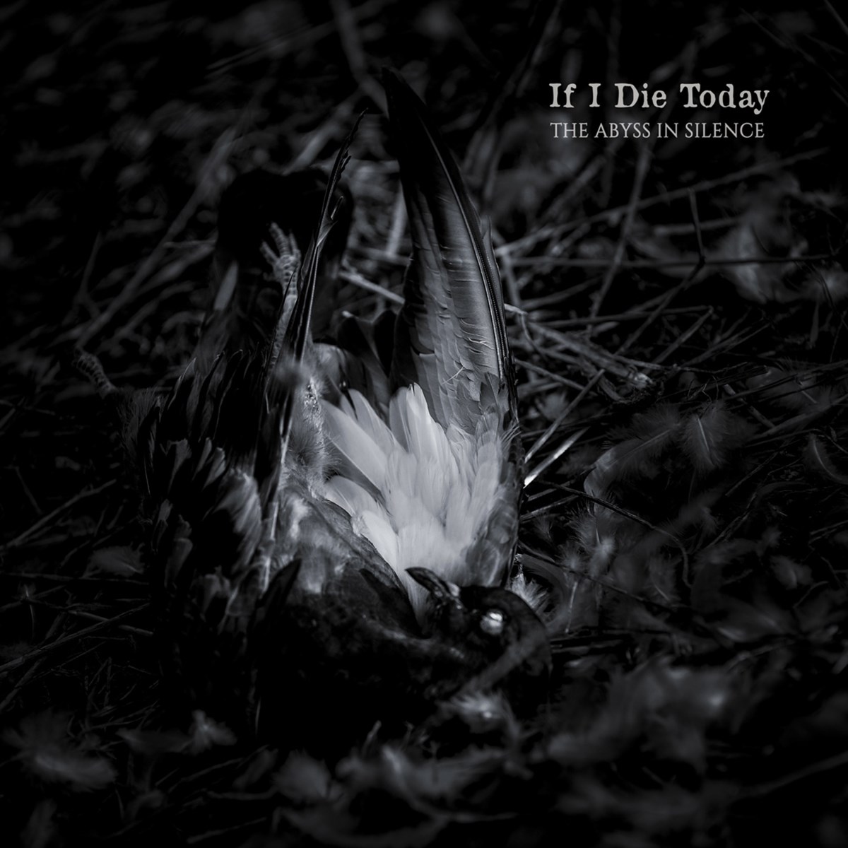 Afbeelding van If I Die Today - The Abyss In Silence