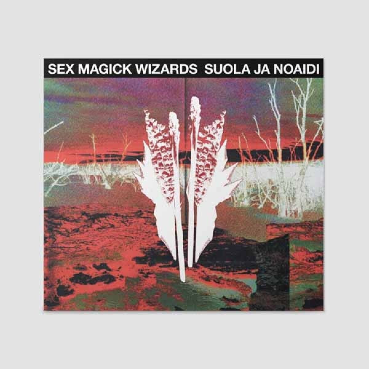 Afbeelding van Sex Magick Wizards - Suola Ja Noaidi