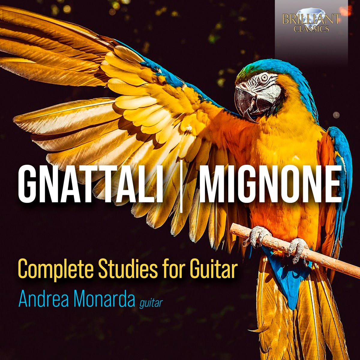 Andrea Monarda - Gnattali, Mignone: Complete Studies For Guitar