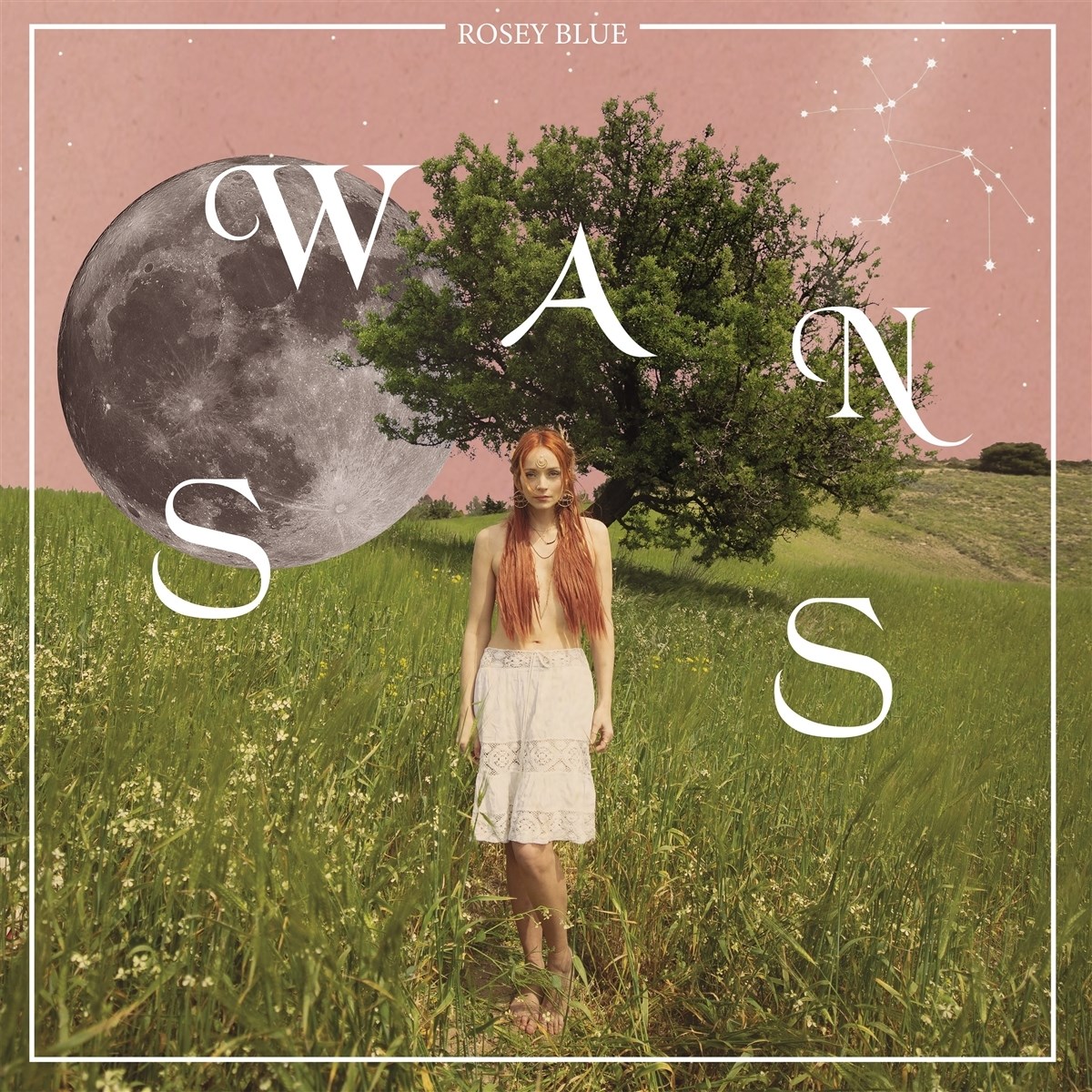 Afbeelding van Rosey Blue - Swans