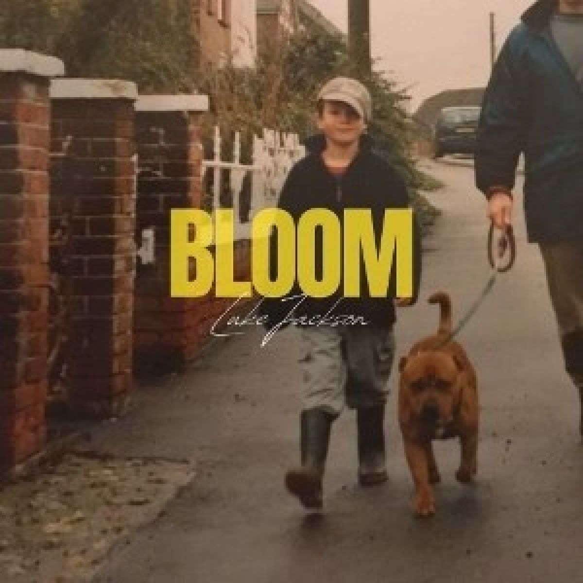Afbeelding van Luke Jackson - Bloom