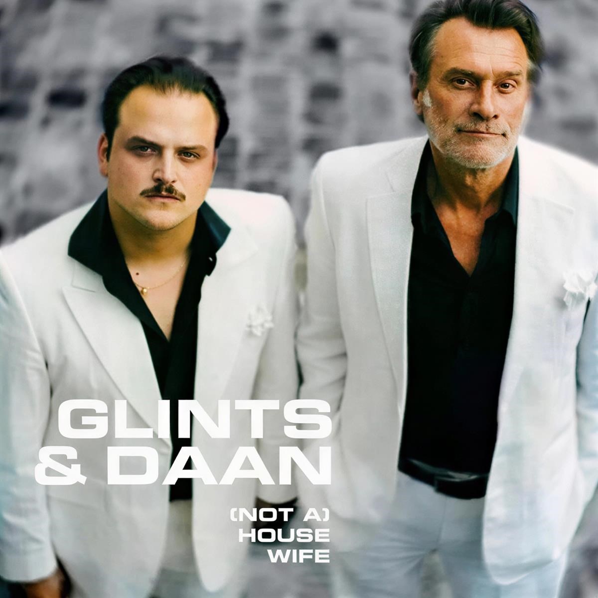 Afbeelding van Glints & Daan - (Not A) Housewife