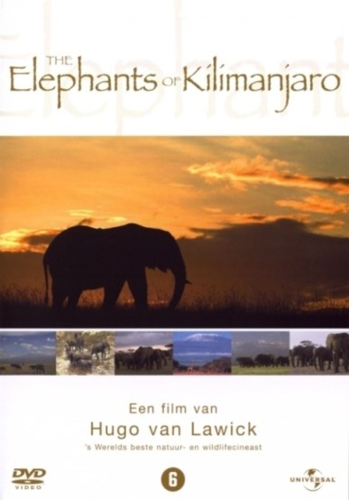 Afbeelding van Elephants of Kilimanjaro