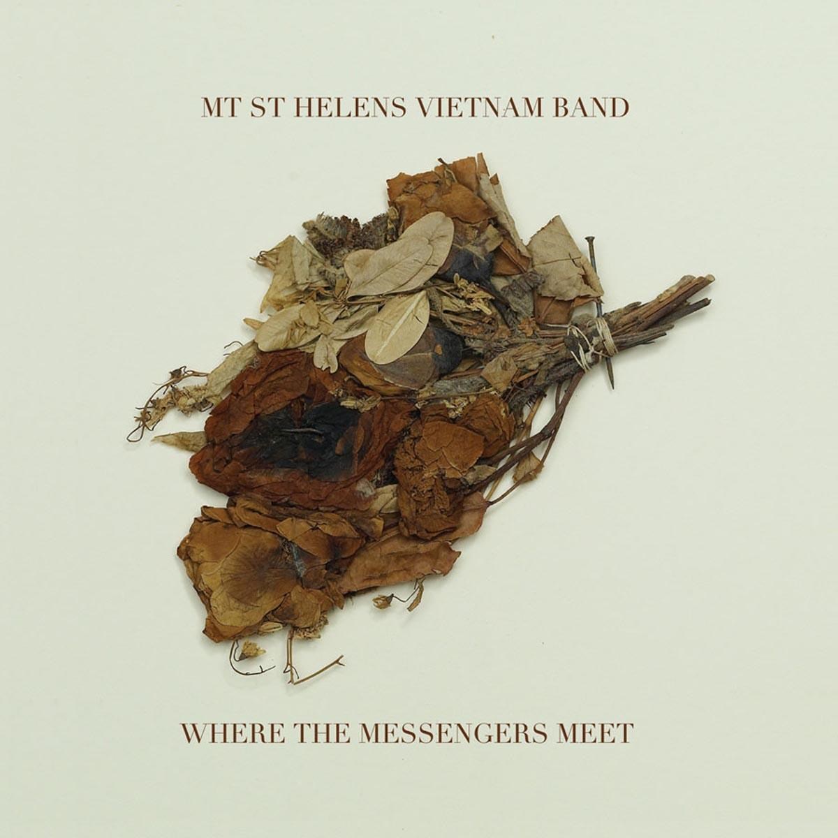Afbeelding van Mt. St. Helens Vietnam Band - Where The Messengers Meet