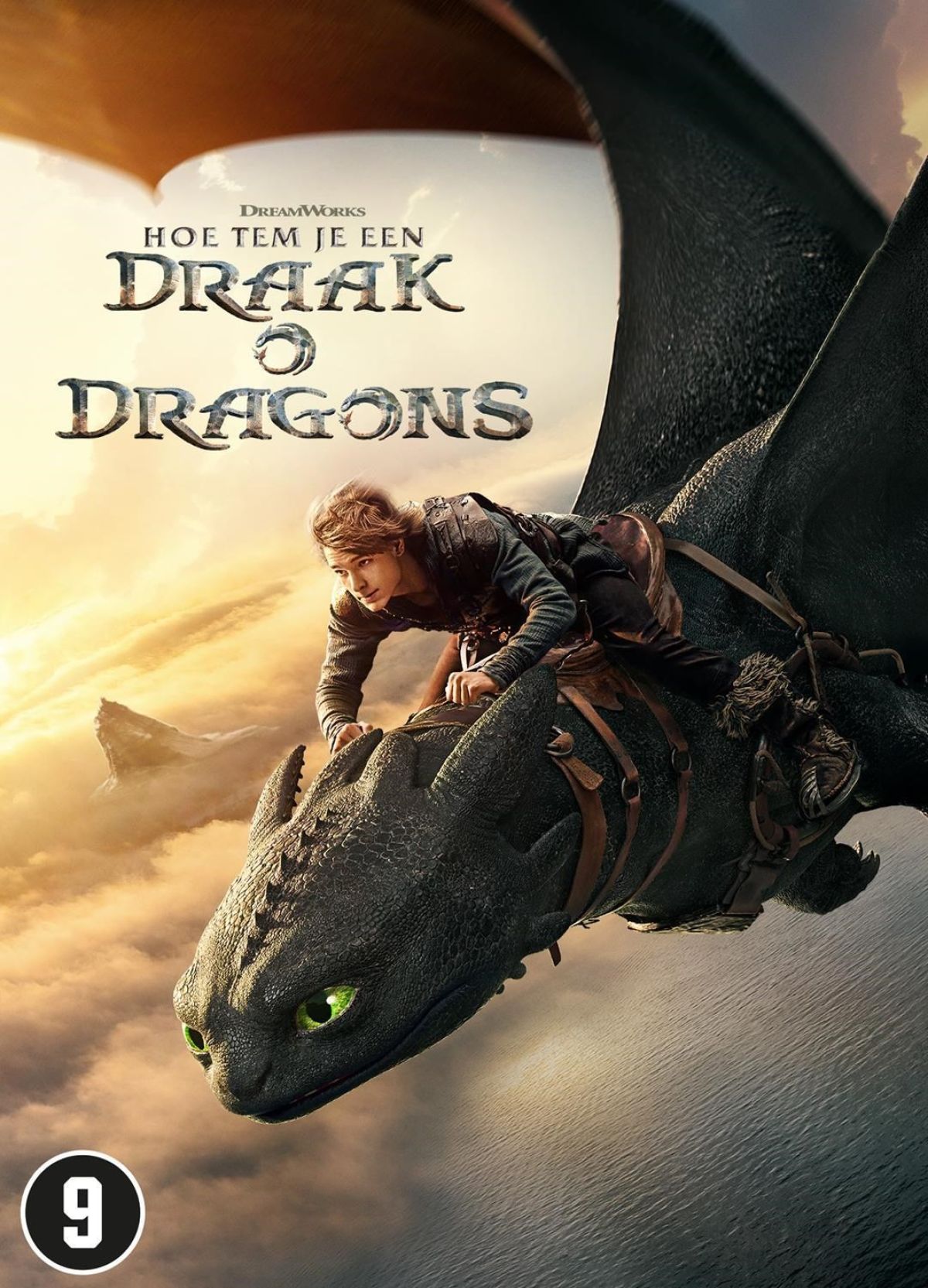 Afbeelding van How To Train Your Dragon