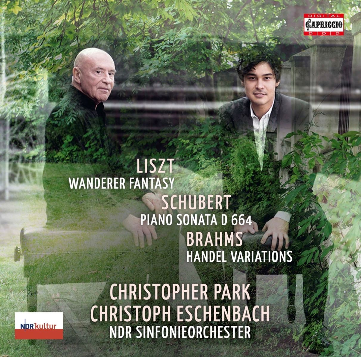 Afbeelding van Liszt/Schubert/Brahms: Wanderer Fantasy/Piano Sonata