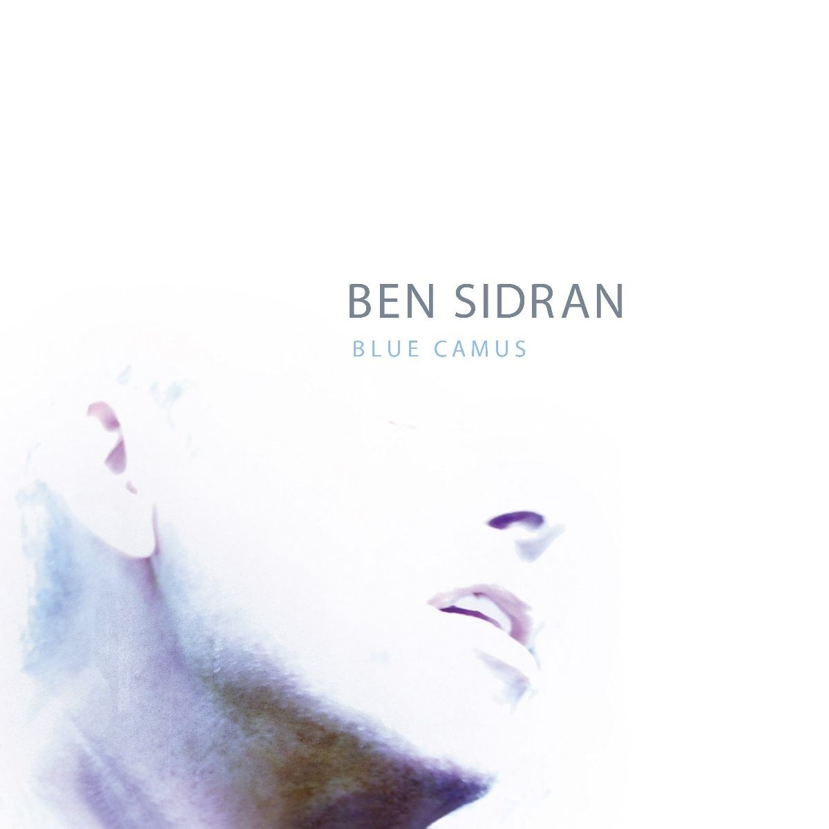 Afbeelding van Ben Sidran - Blue Camus