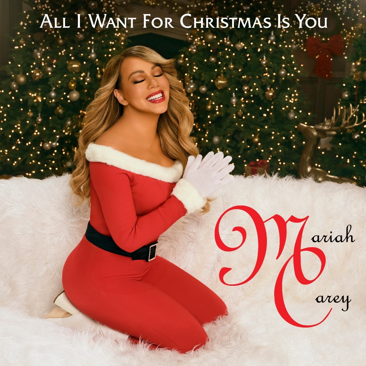 Afbeelding van All I Want For Christmas