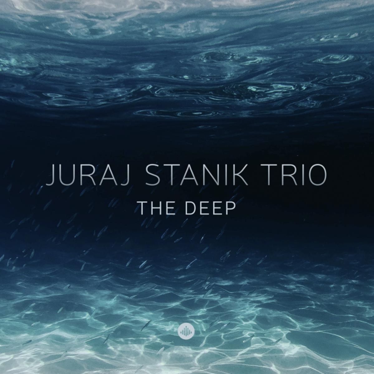 Afbeelding van The Deep (vinyl)