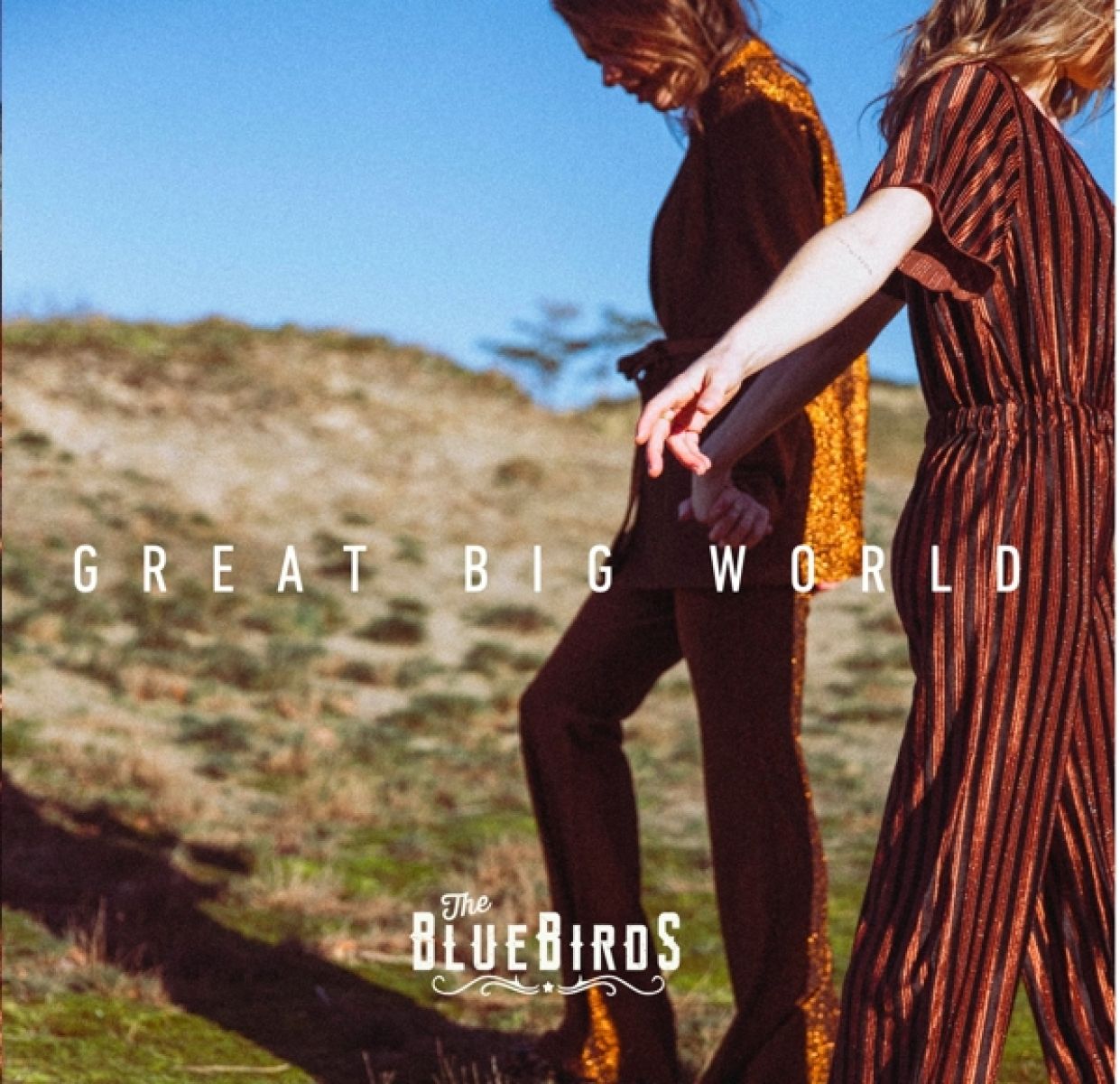 The BlueBirds - Great Big World