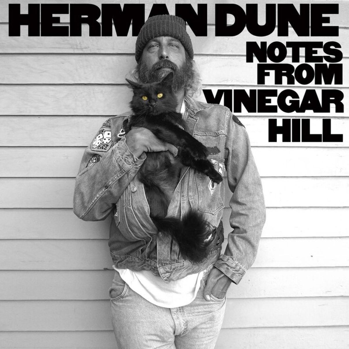 Afbeelding van Herman Düne - Notes From Vinegar Hill
