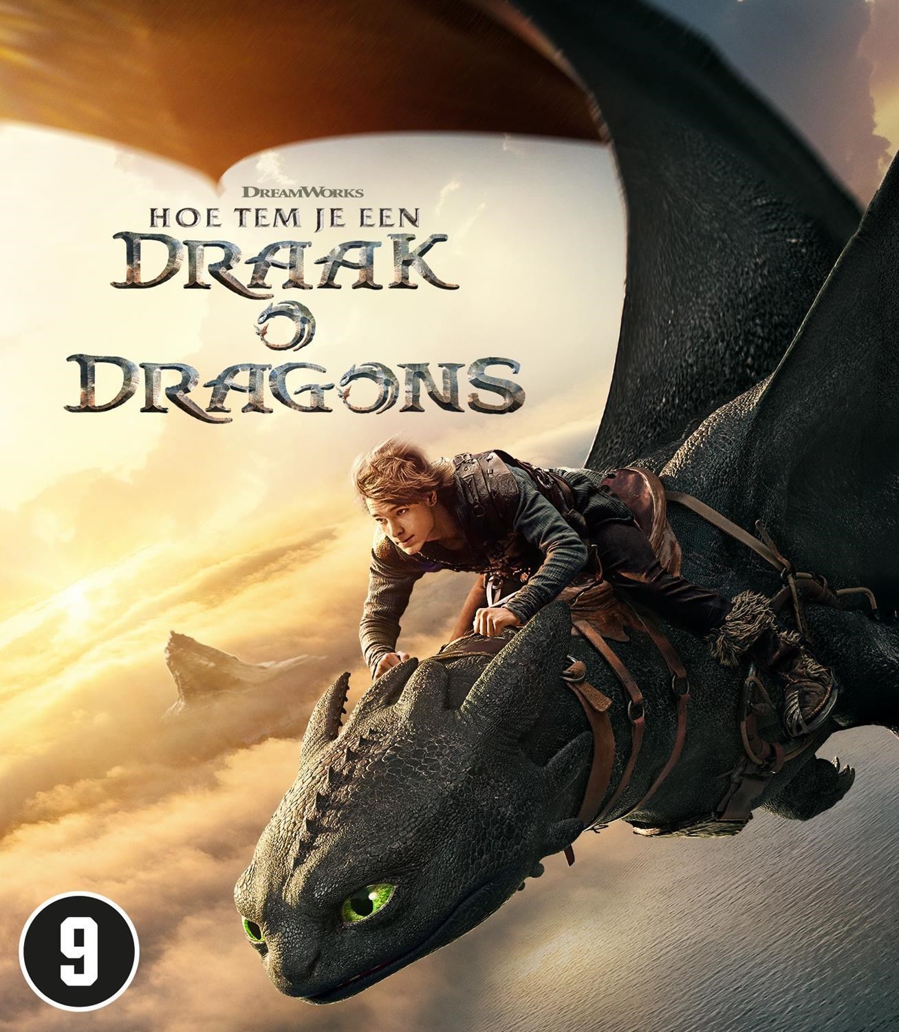 How To Train Your Dragon