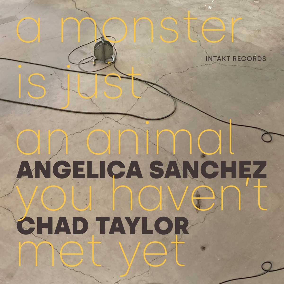 Afbeelding van Angelica Sanchez & Chad Taylor - A Monster Is Just An Animal You Haven't Met Yet