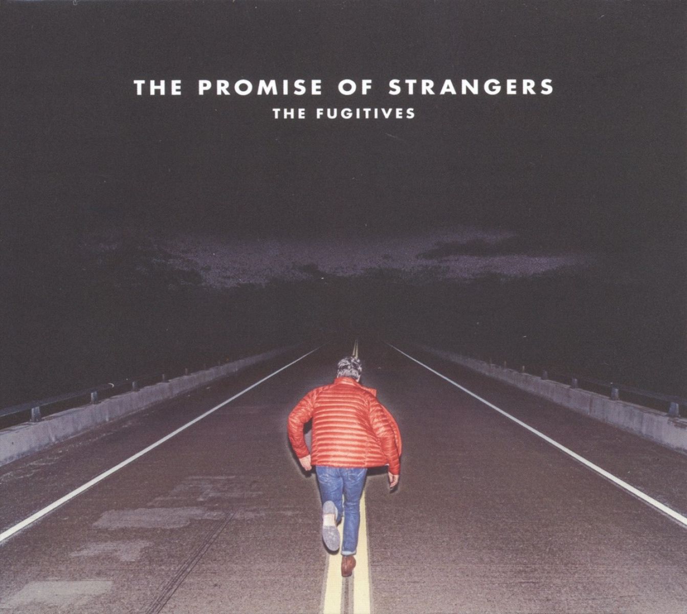 Afbeelding van The Promise Of Strangers
