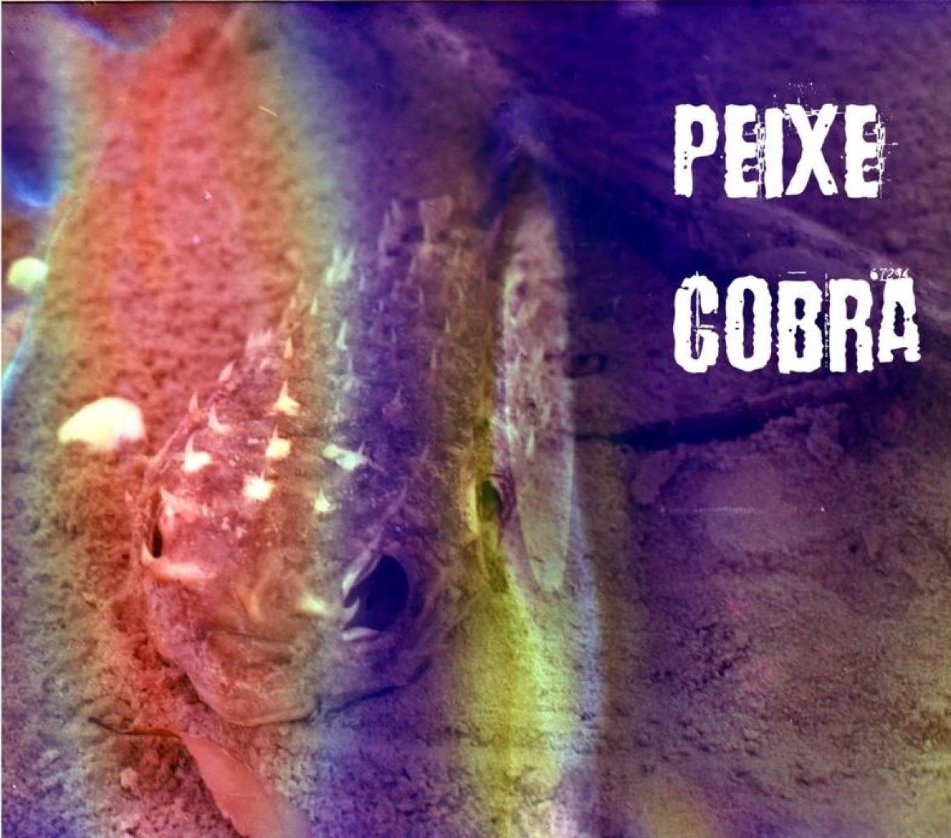 Afbeelding van Peixe Cobra - Peixe Cobra