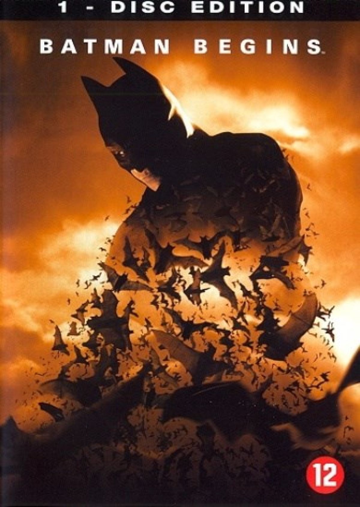 Afbeelding van Batman begins