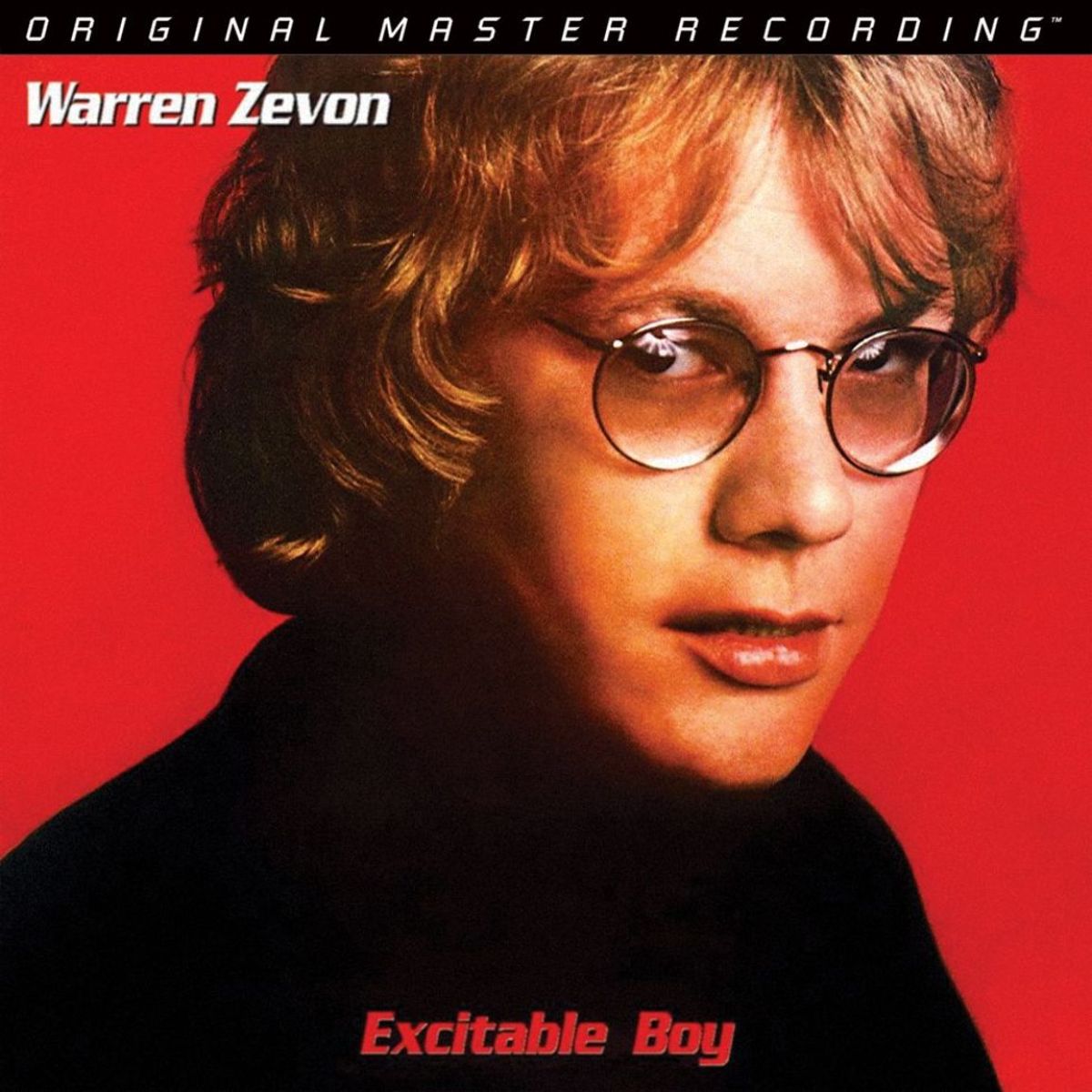 Afbeelding van Excitable Boy