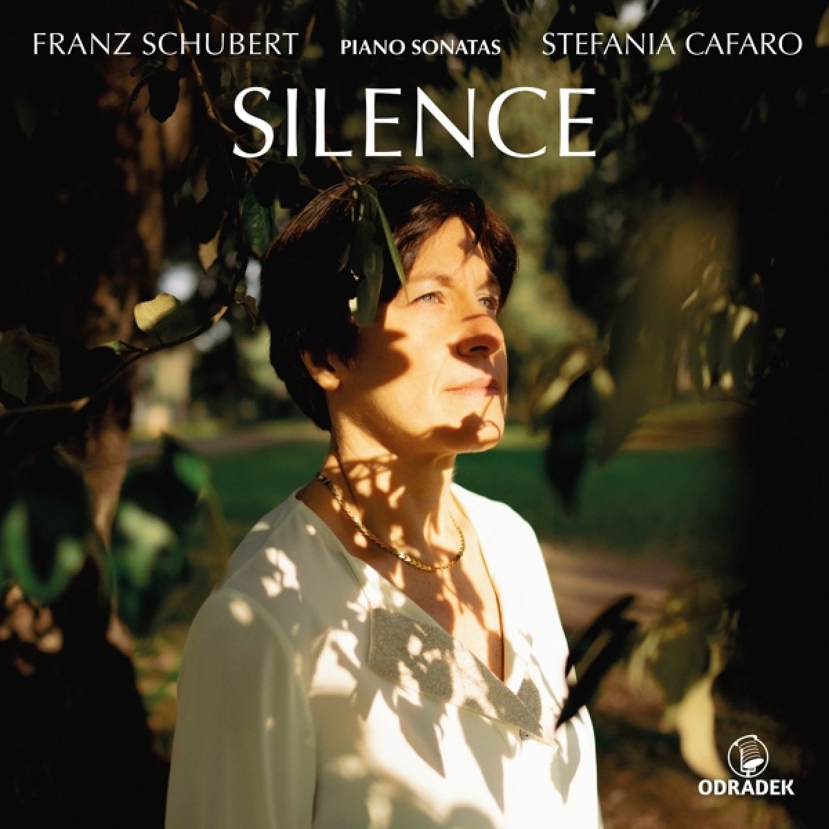 Afbeelding van Silence - Piano Sonatas By Schubert