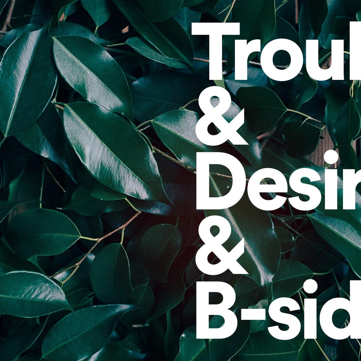 Afbeelding van Tiger Lou - Trouble & Desire & B-Sides