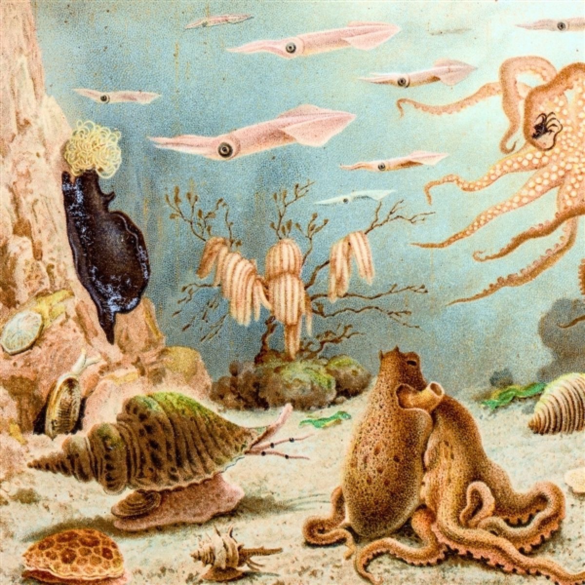 Chypho - Episodes In Oceanography, Vol. 1