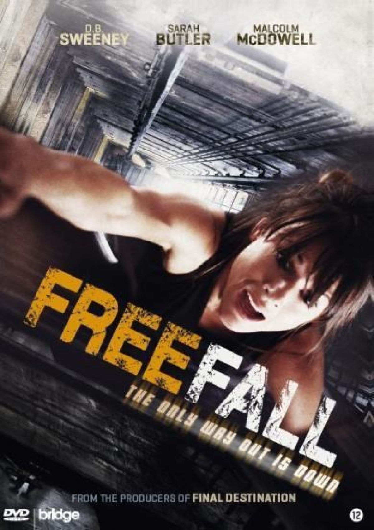 Free Fall